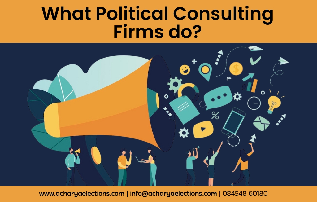 what-political-consulting-firms-do